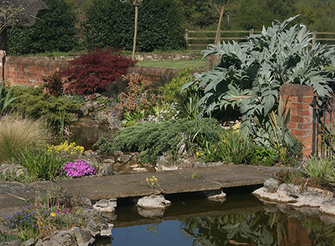 All Patio Design/ Landscapers in Chobham Woking Surrey and Berkshire /Planting