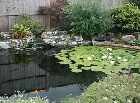 All Patio Design/ Landscapers in Chobham Woking Surrey and Berkshire / Ponds, Waterfalls & Rockeries