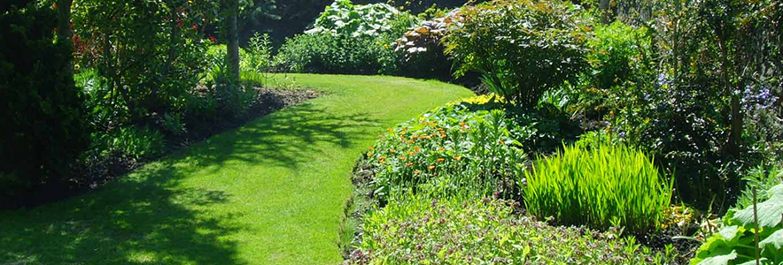 All Patio Design Landscaper Chobham Woking Surrey / Planting