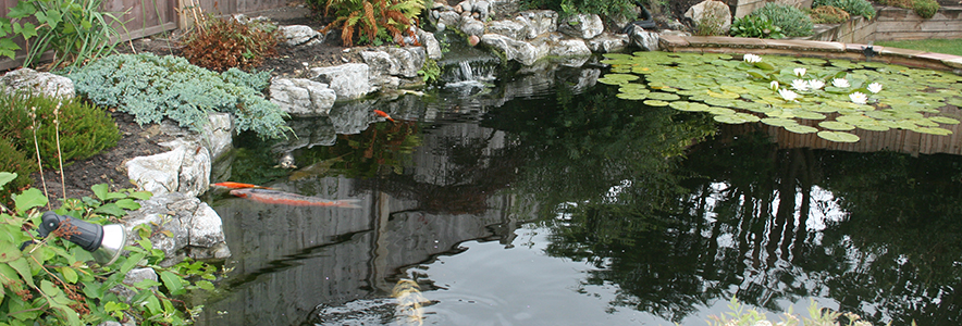 All Patio Design Landscaper Chobham Woking Surrey / Ponds Waterfalls & Rockeries