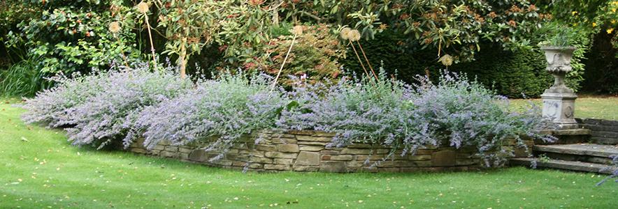 All Patio Design Landscaper Chobham Woking Surrey / Walls